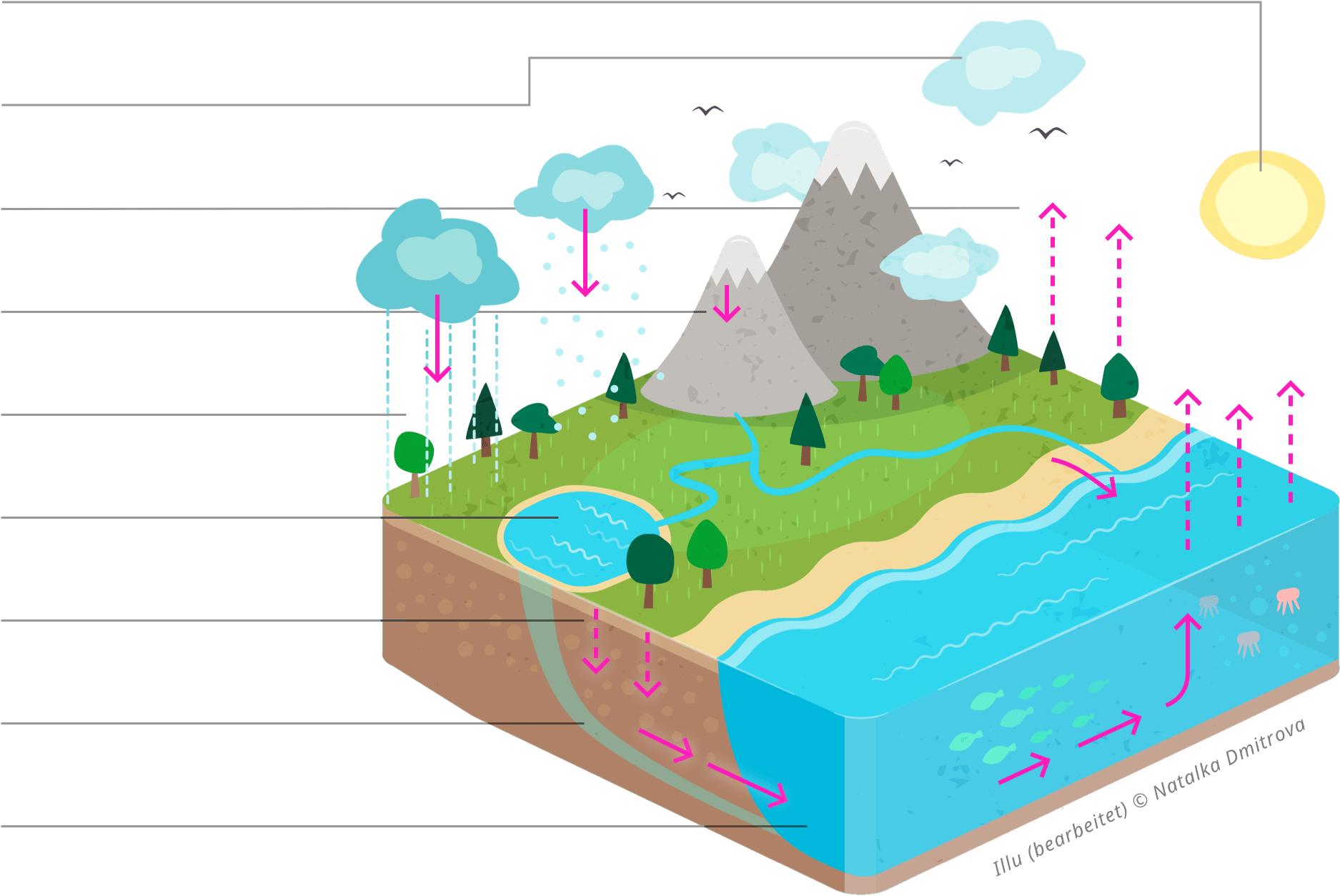 Skizze des Wasserkreislaufs